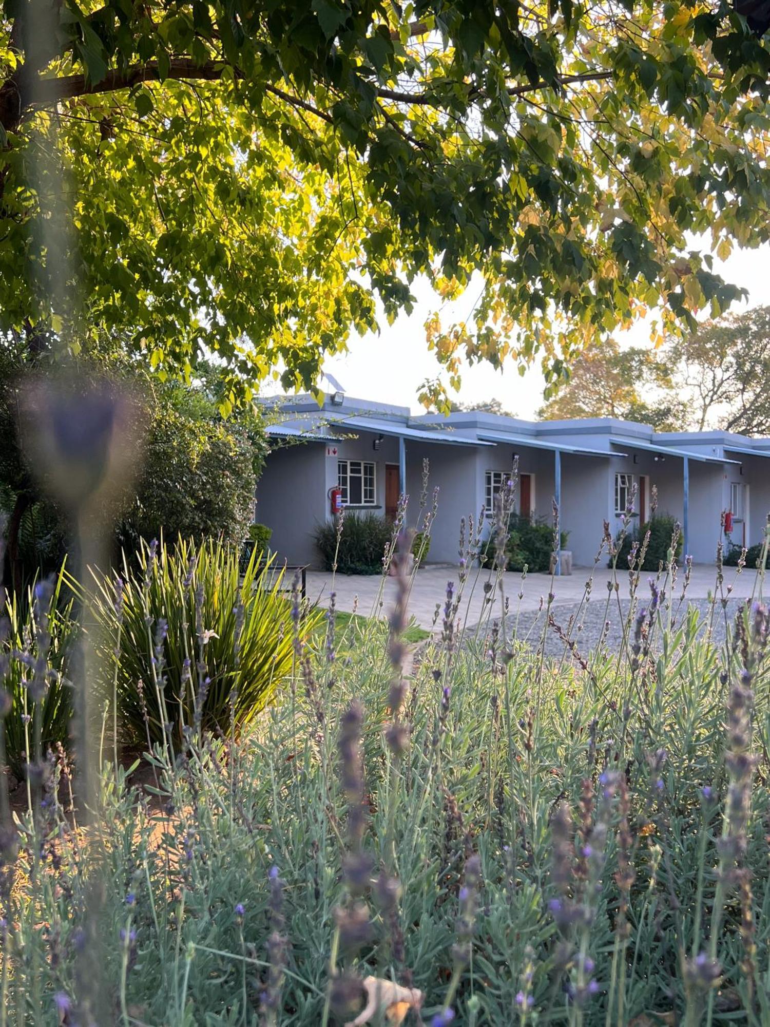 Patterson B&B Newcastle Exterior photo