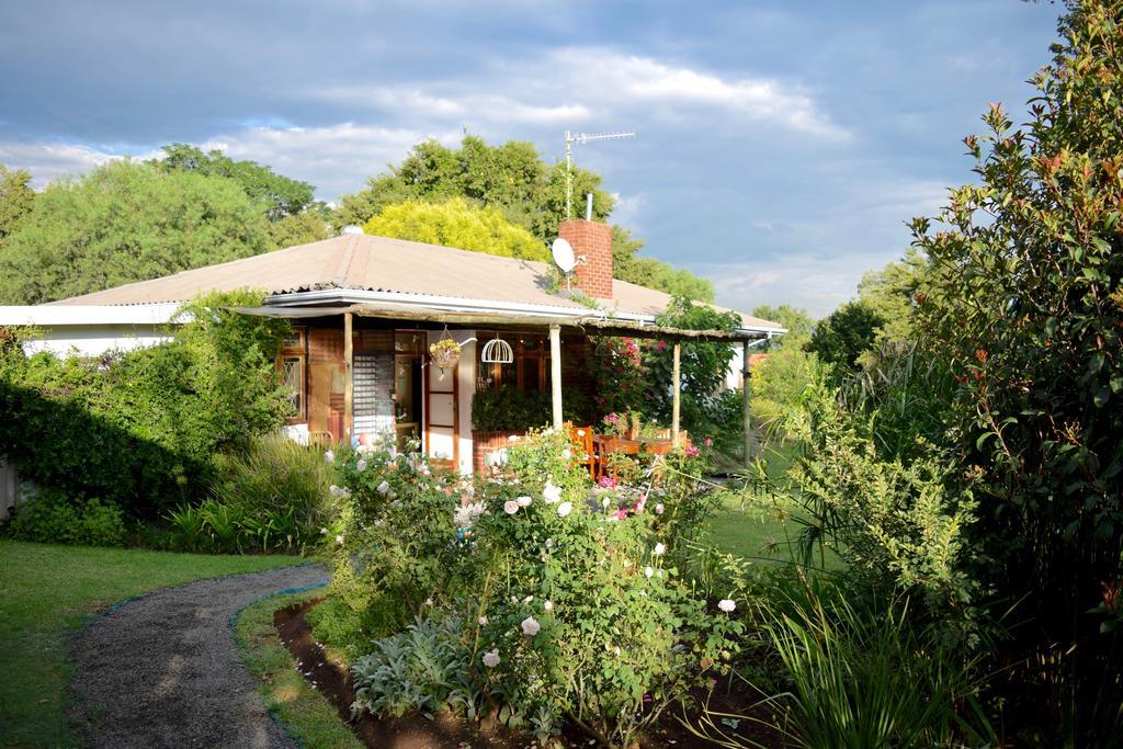 Patterson B&B Newcastle Exterior photo
